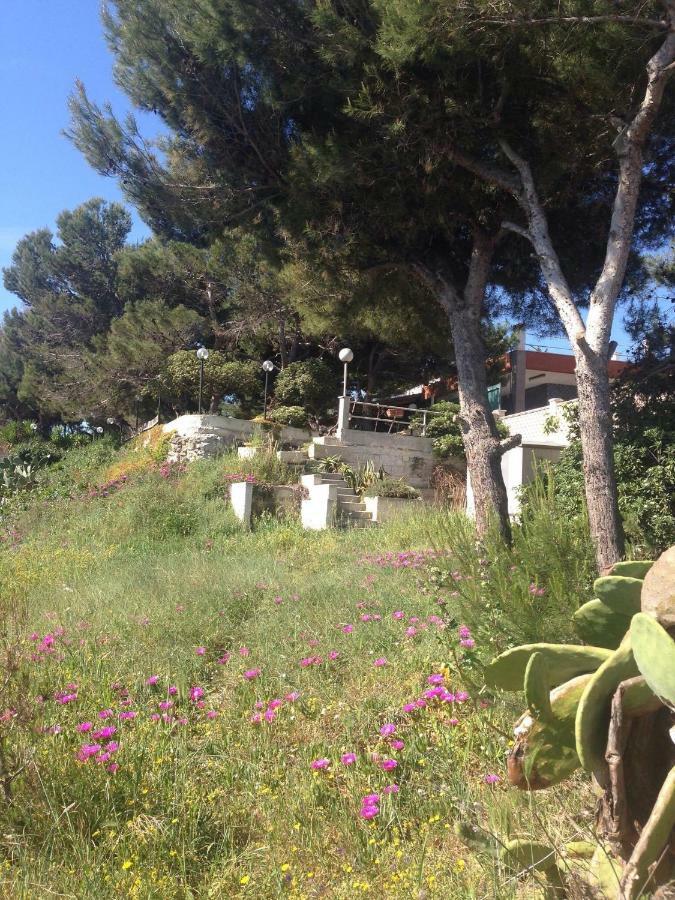 Villa Enzo Monopoli Exterior foto