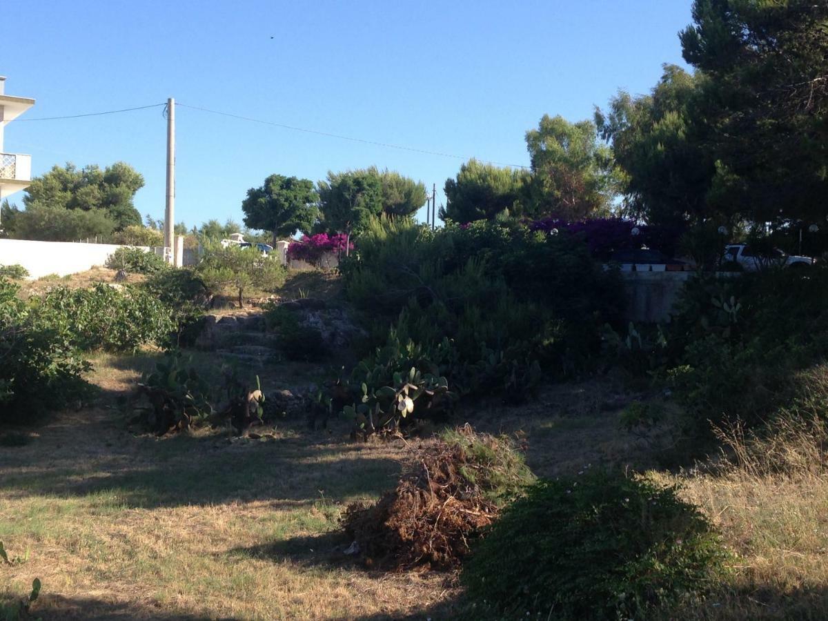 Villa Enzo Monopoli Exterior foto