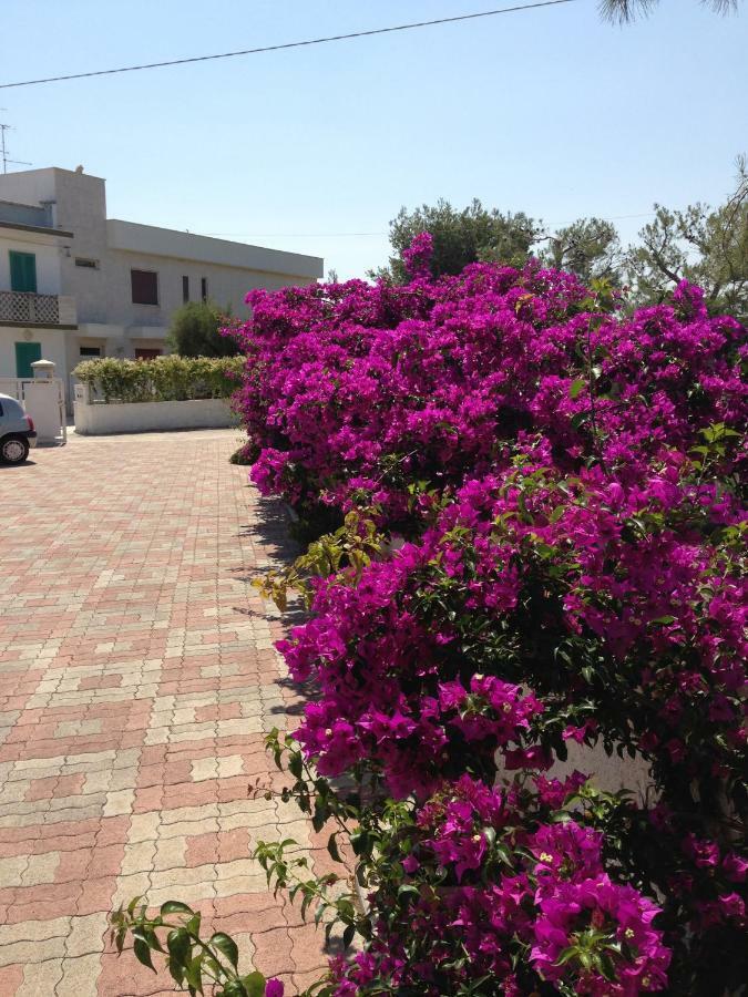 Villa Enzo Monopoli Exterior foto